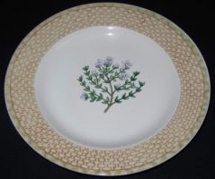 Fitz & Floyd Omnibus VEGETABLE BASKET Salad Plate "Carrots"